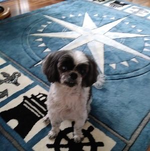 Meet your Posher, Nancy